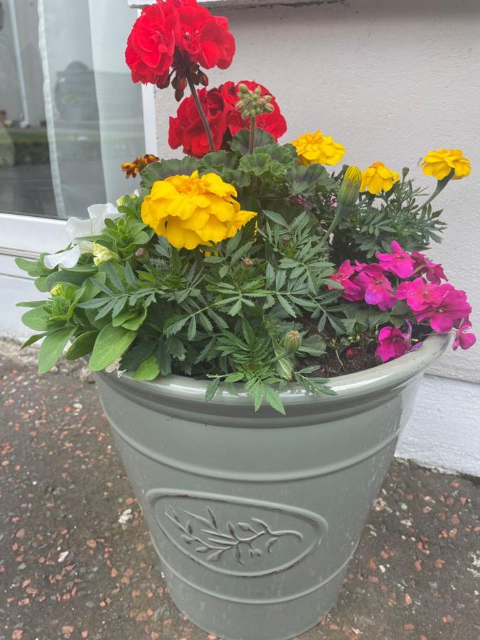 Unique Belfast Stay Eksteriør billede